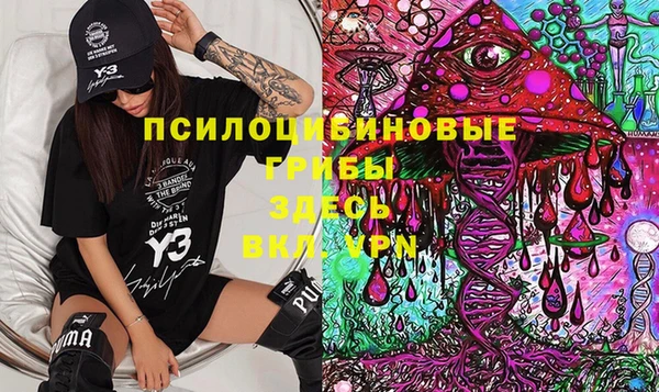 дурь Алексин