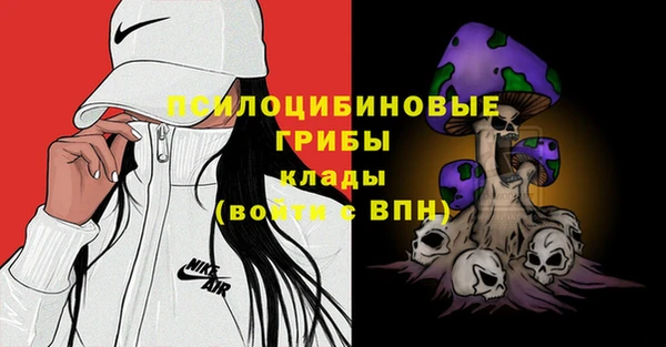дурь Алексин