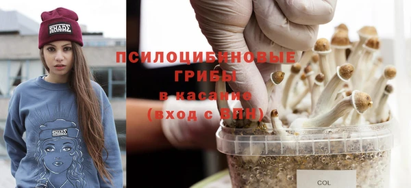 метадон Алексеевка