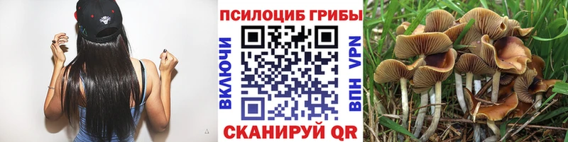 Галлюциногенные грибы мухоморы  хочу наркоту  Анадырь 